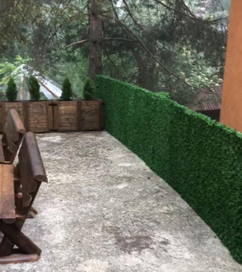 Veselica Villa Divčibare Eksteriør bilde