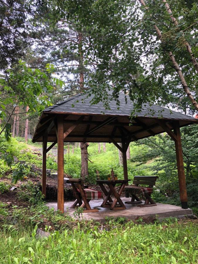 Veselica Villa Divčibare Eksteriør bilde